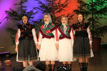 Występy konkursowe MSF